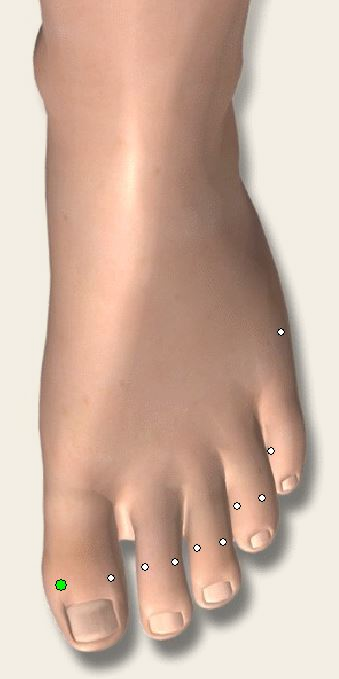 Top of a foot with acupuncture points marked by small dots.